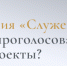 Жителей Красноярского края приглашают поддержать проекты земляков в финале премии «Служение» - Туруханский район